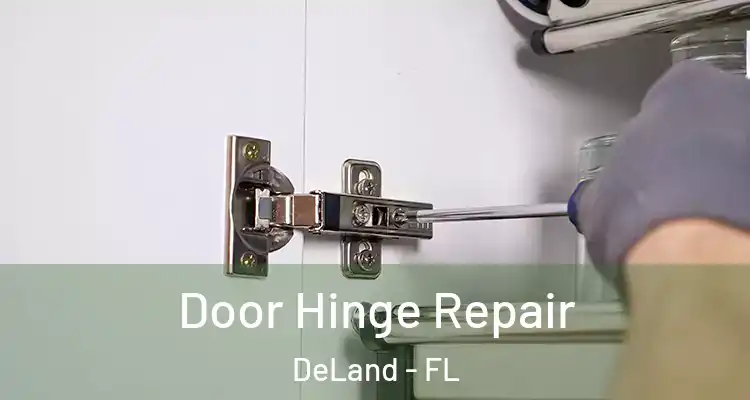 Door Hinge Repair DeLand - FL