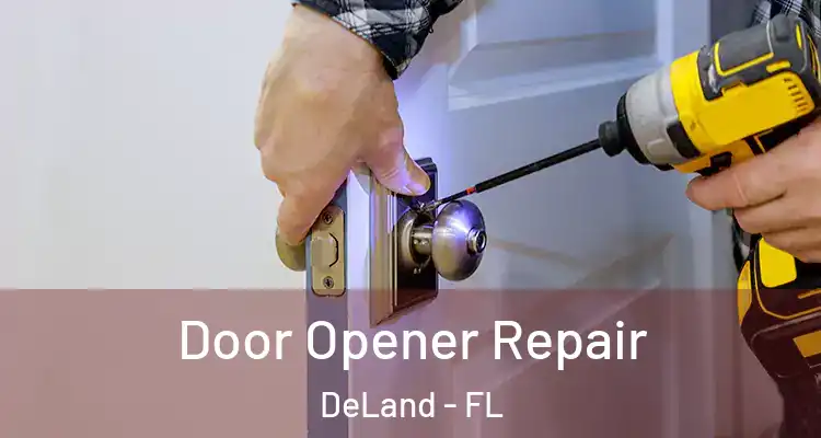Door Opener Repair DeLand - FL