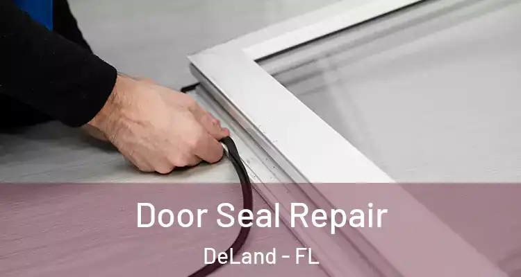 Door Seal Repair DeLand - FL
