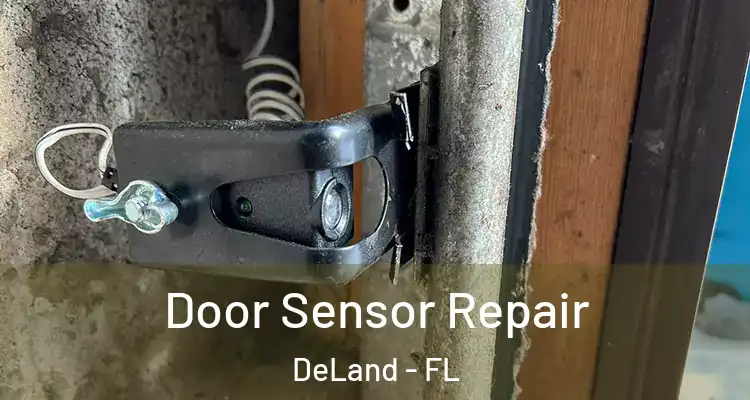 Door Sensor Repair DeLand - FL