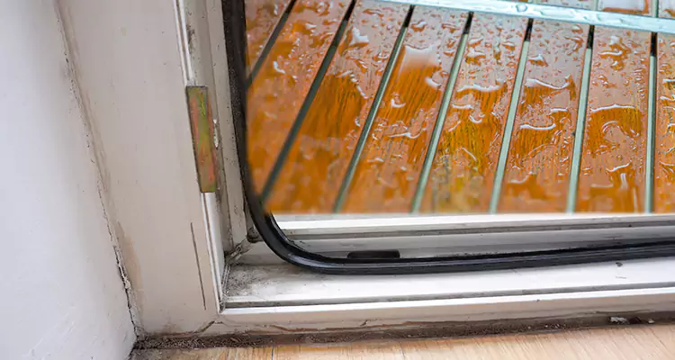 Water Leaking Wooden Patio Doors Repair in DeLand, FL