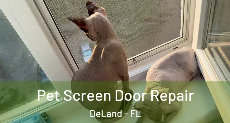 Pet Screen Door Repair DeLand - FL