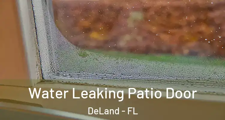 Water Leaking Patio Door DeLand - FL
